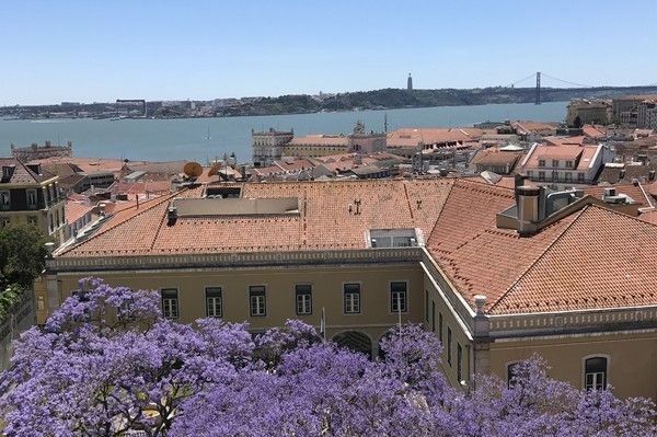 Lisboa. Le charme du marché portugais